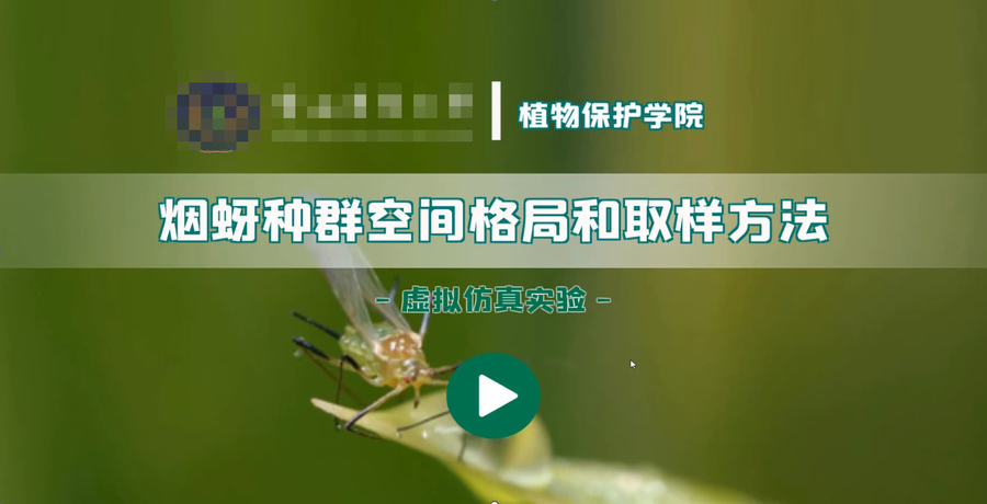 虚拟仿真课程建设.jpg 虚拟仿真课程建设.jpg